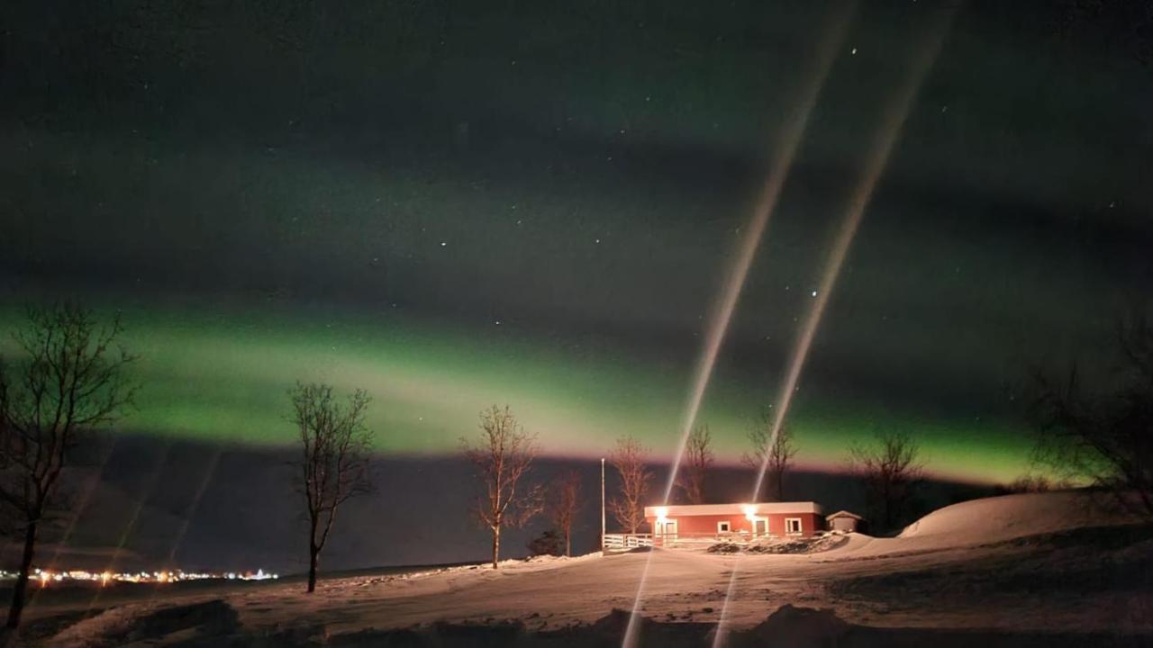 Hoefthi Cottages Dalvík Buitenkant foto