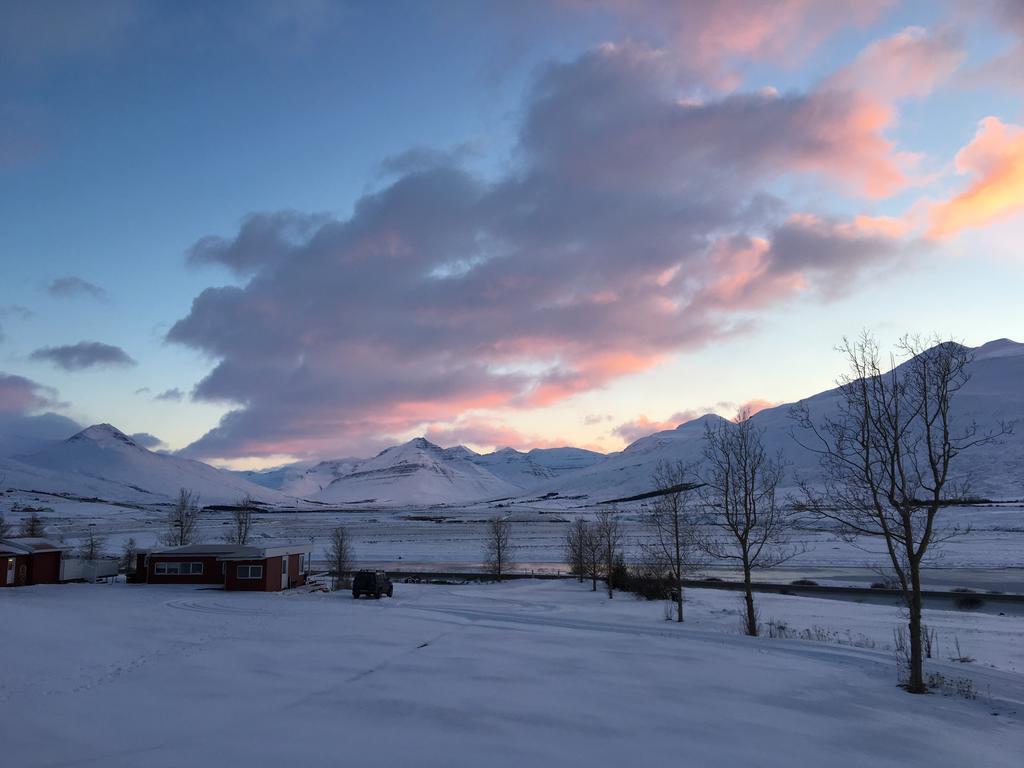 Hofthi Cottages Dalvík Buitenkant foto